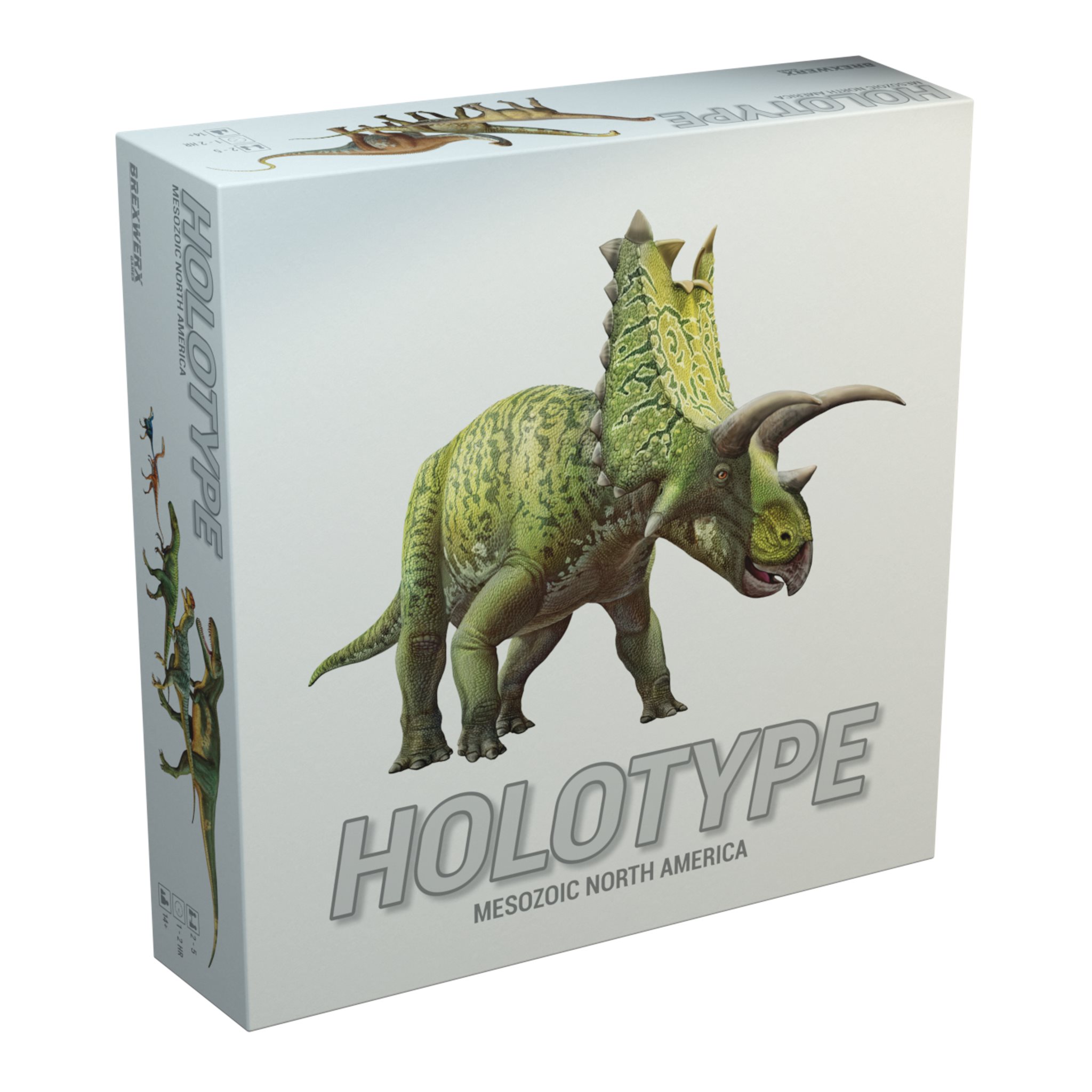 Holotype