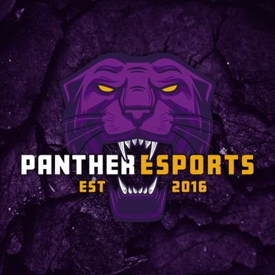 panther esports logo